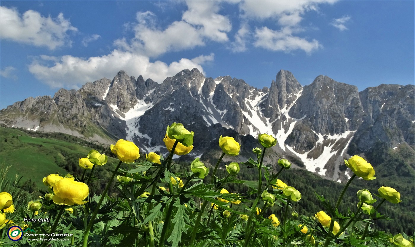 66 Botton d'oro per le Piccole Dolomiti Scalvine !.JPG -                                